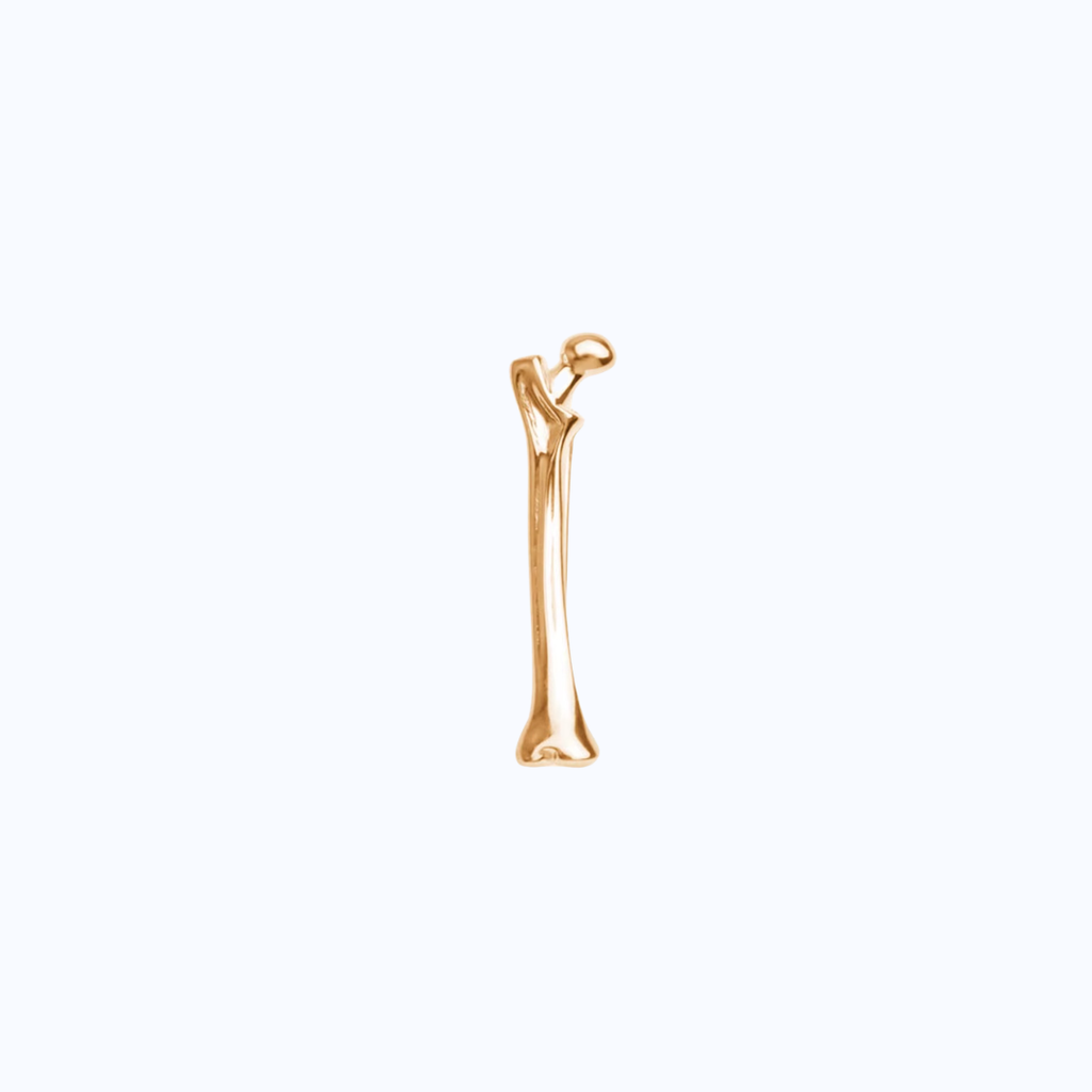 Pin Metálico Femur