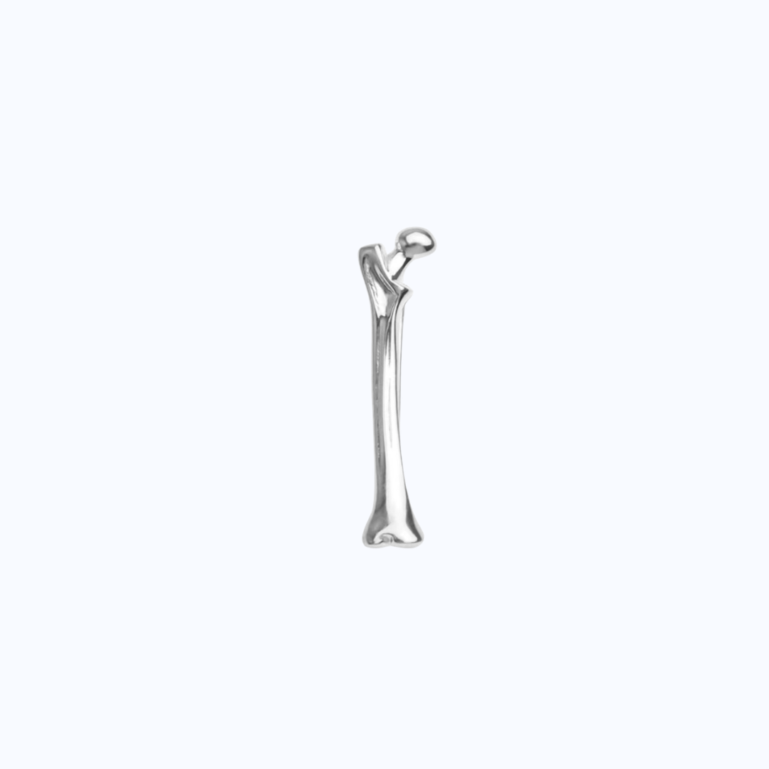 Posterior Spinal Metallic Pin