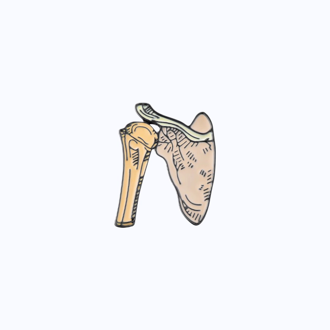 Pin Metálico Shoulder Anatomy