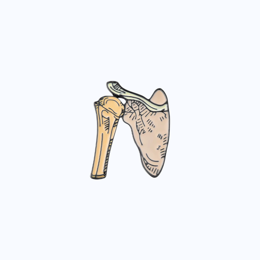 Posterior Spinal Metallic Pin