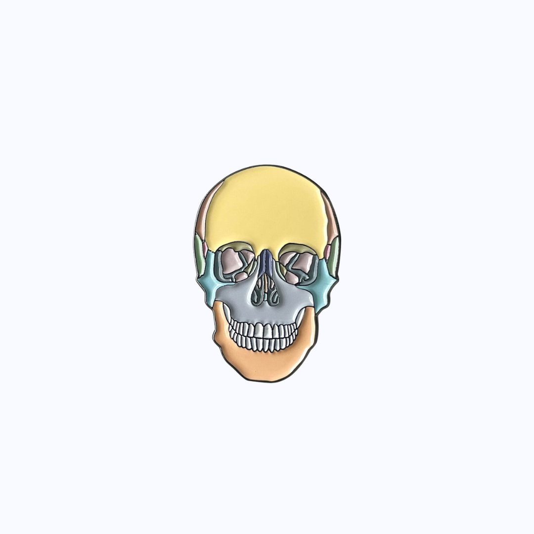 Pin Metálico Color Skull Anatomy