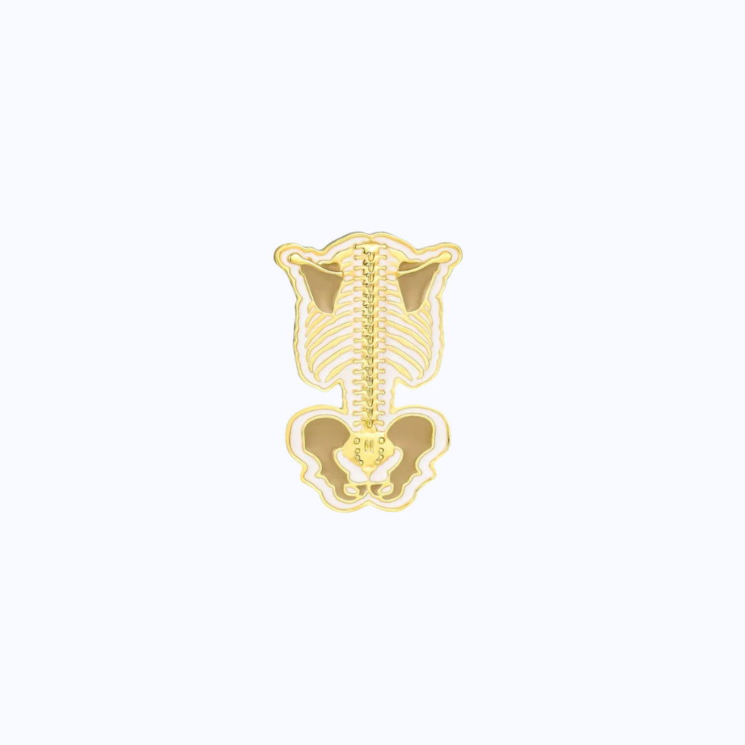 Pin Metálico Columna Vertebral Posterior