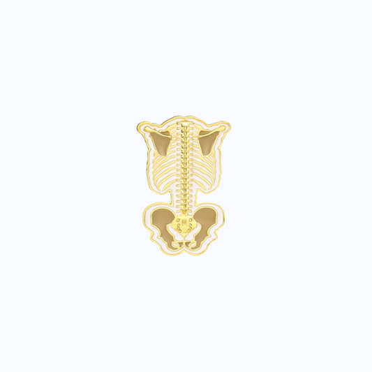 Posterior Spinal Metallic Pin