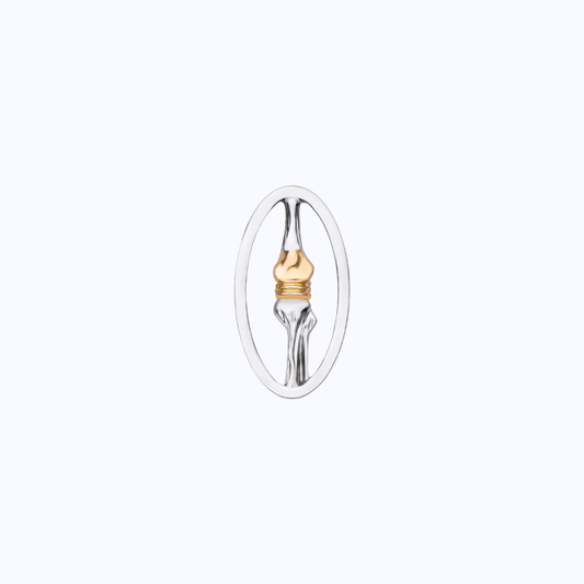 Posterior Spinal Metallic Pin