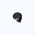 Pin Metálico Black Skull