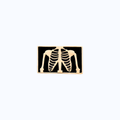 Pin Metálico Rib Cage X-Ray