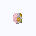 Pin Metálico Neuro Blossom