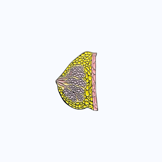 Pin Metálico Breast Anatomy