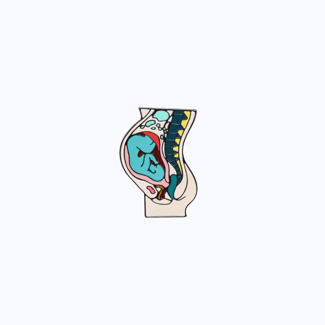 Pin Metálico Fetal Anatomy