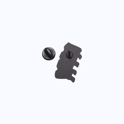 Posterior Spinal Metallic Pin