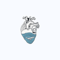 Pin Metálico Corazón Anatómico Océano y Ballena Azul
