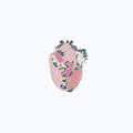 Pin Metálico Corazón Anatómico Parque de Dinosaurios Rosa y Dorado