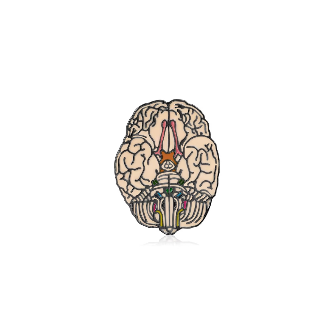 Metallic Brain Base Anatomy Pin