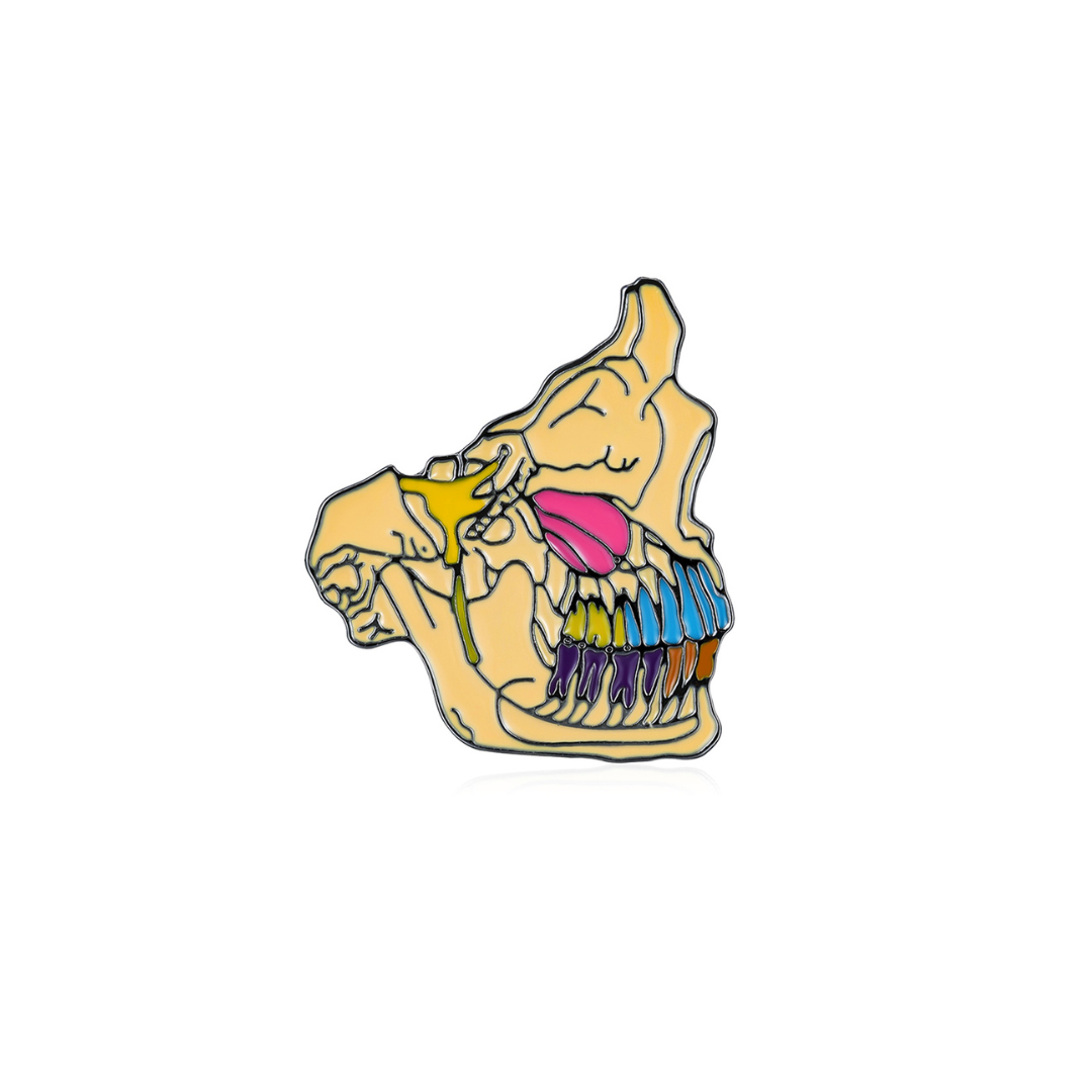 Metallic Pin Color Skull Dentition