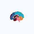 Pin Metálico Brain Spectrum