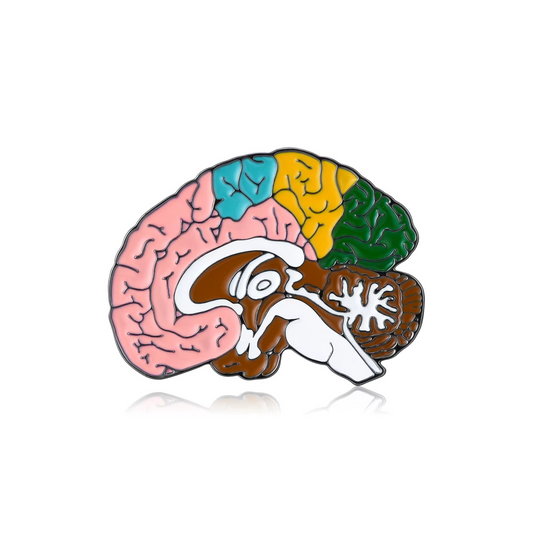 Metallic Brain Base Anatomy Pin