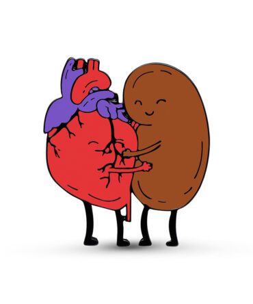 Pin Metálico Corazón y Riñon