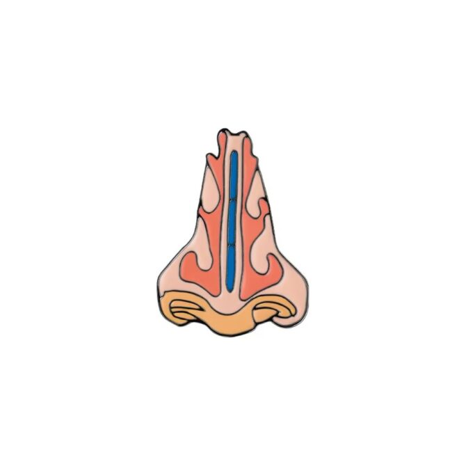 Pin Metálico Anatomia Nasal