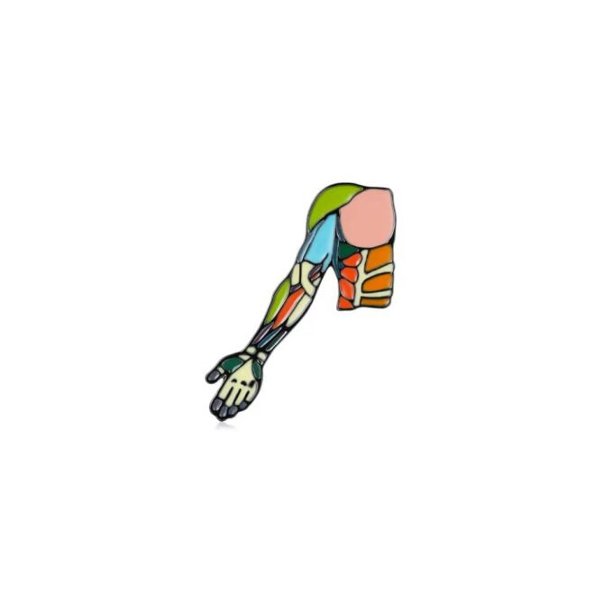 Pin Metálico Musculos del Brazo