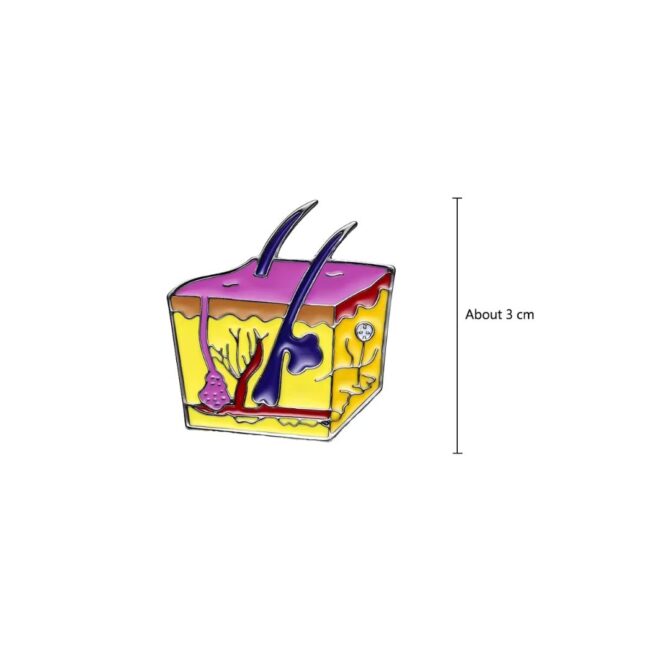 Pin Metálico Anatomía de la Piel - Imagen 2